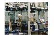 <p>Welt der Medizin beim Berliner Medizinhistorisches Museum der Charité</p>